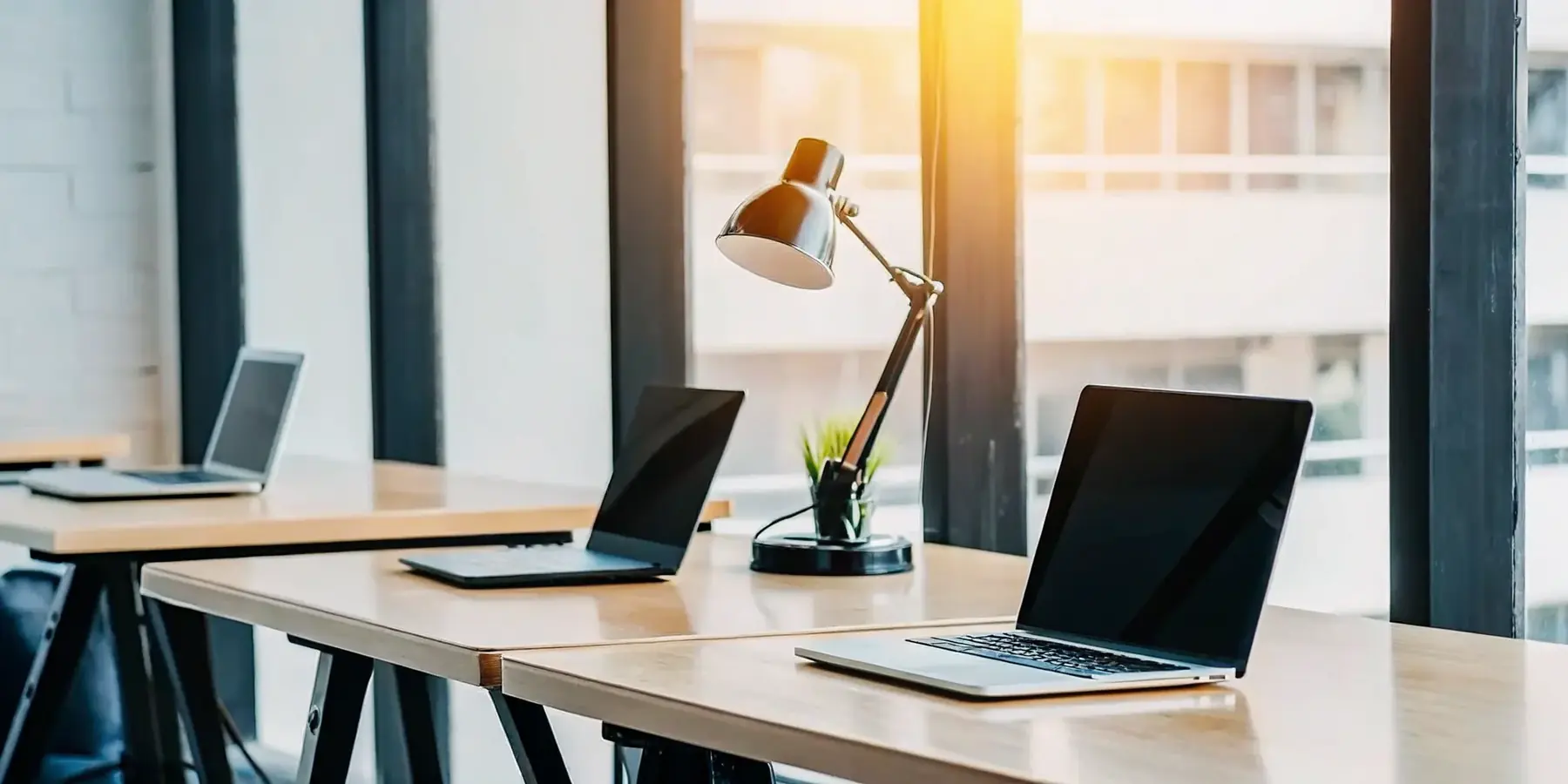 Hot Desk Management Software: A Complete Guide