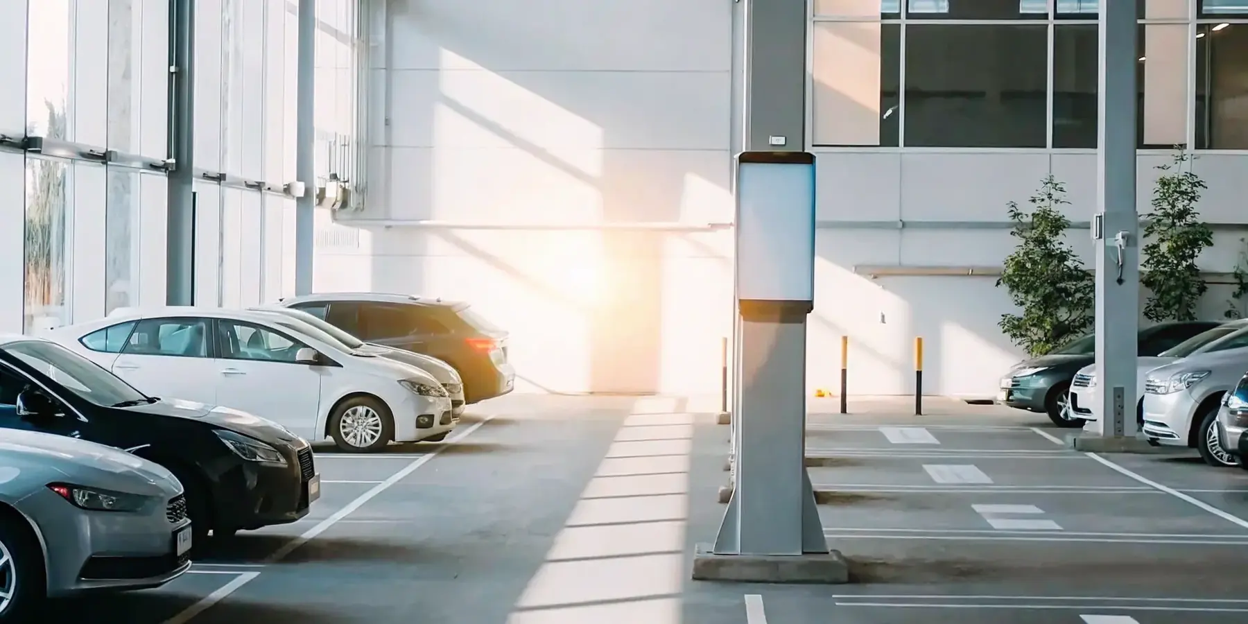 8 Best Parking Reservation Software Options for 2025